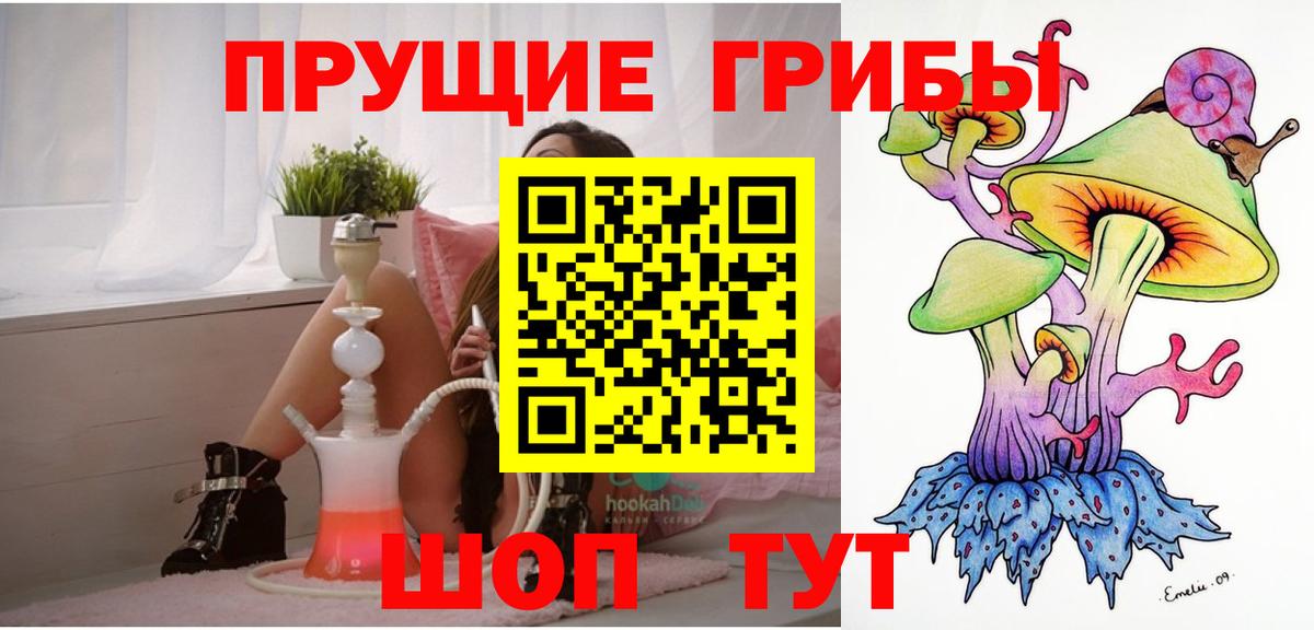 Галлюциногенные грибы GOLDEN TEACHER Советская Гавань